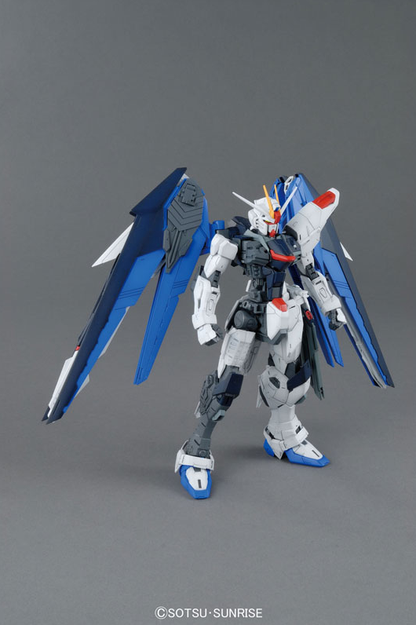 MG Freedom Gundam ver.2.0