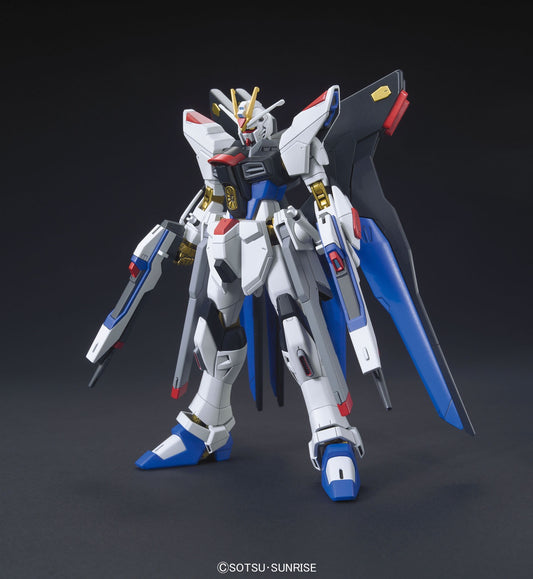 HG CE Strike Freedom Gundam