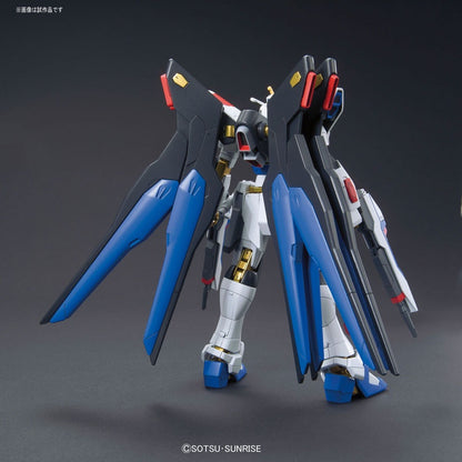 HG CE Strike Freedom Gundam